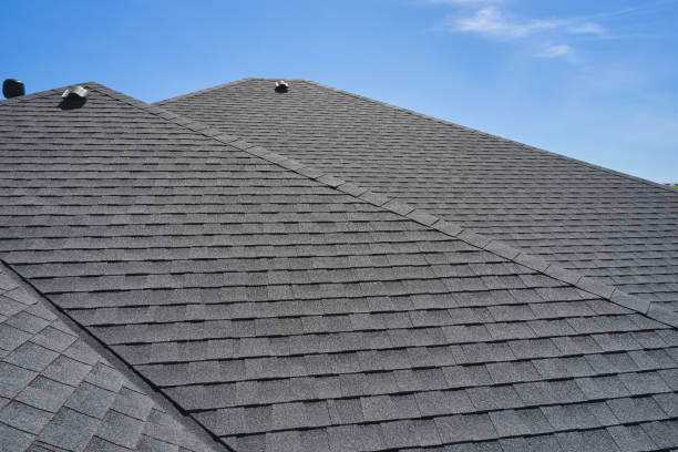 Professional Roofing Service  in Thonotosassa, FL